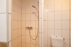 Vrouwenmantel 81  Schoonhoven 042.jpg